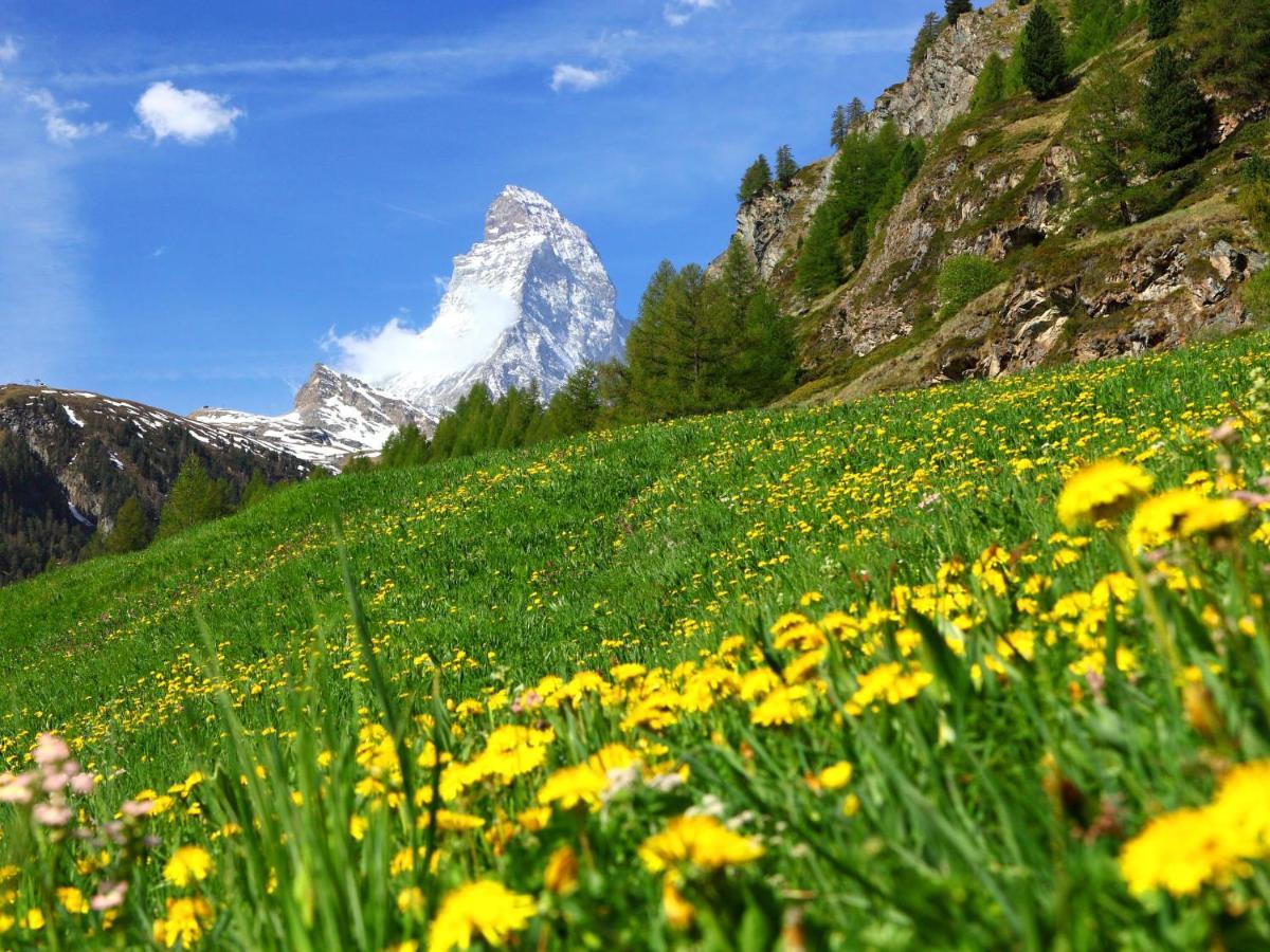 Apartment Grillon-3 By Interhome Zermatt Bagian luar foto