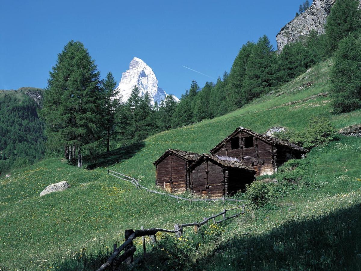 Apartment Grillon-3 By Interhome Zermatt Bagian luar foto